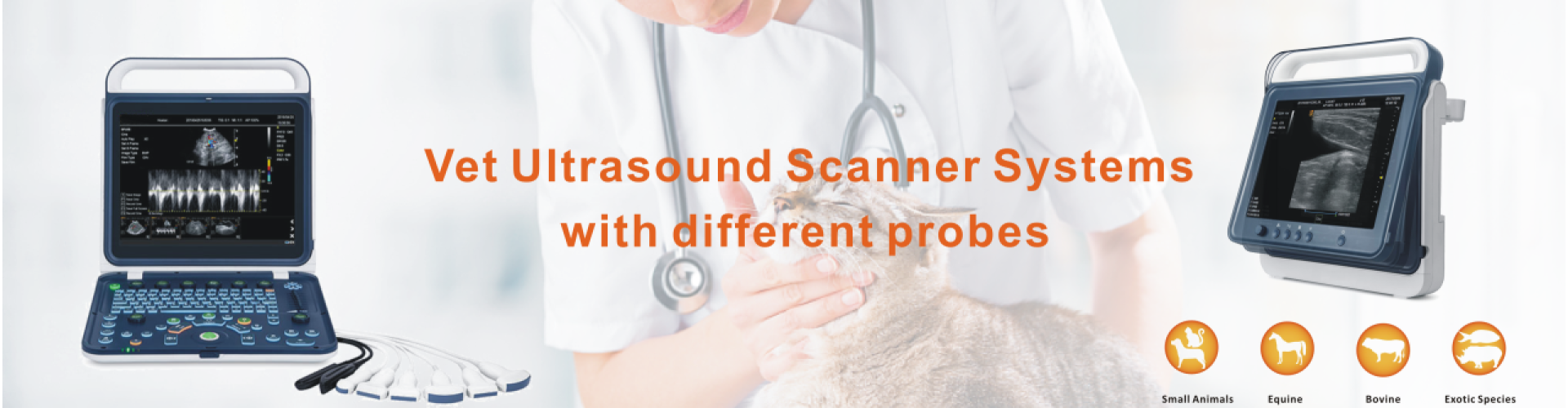 ultrasound